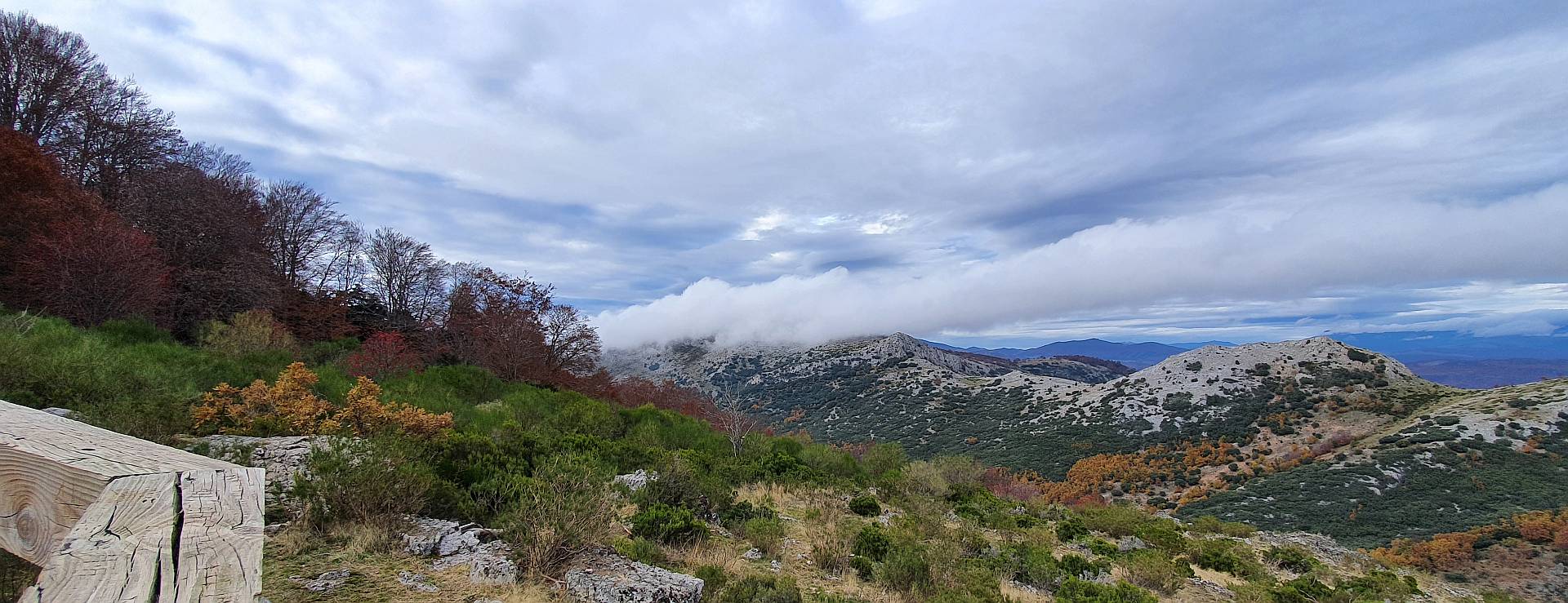 Dehesa de Montejo, Palencia (España)