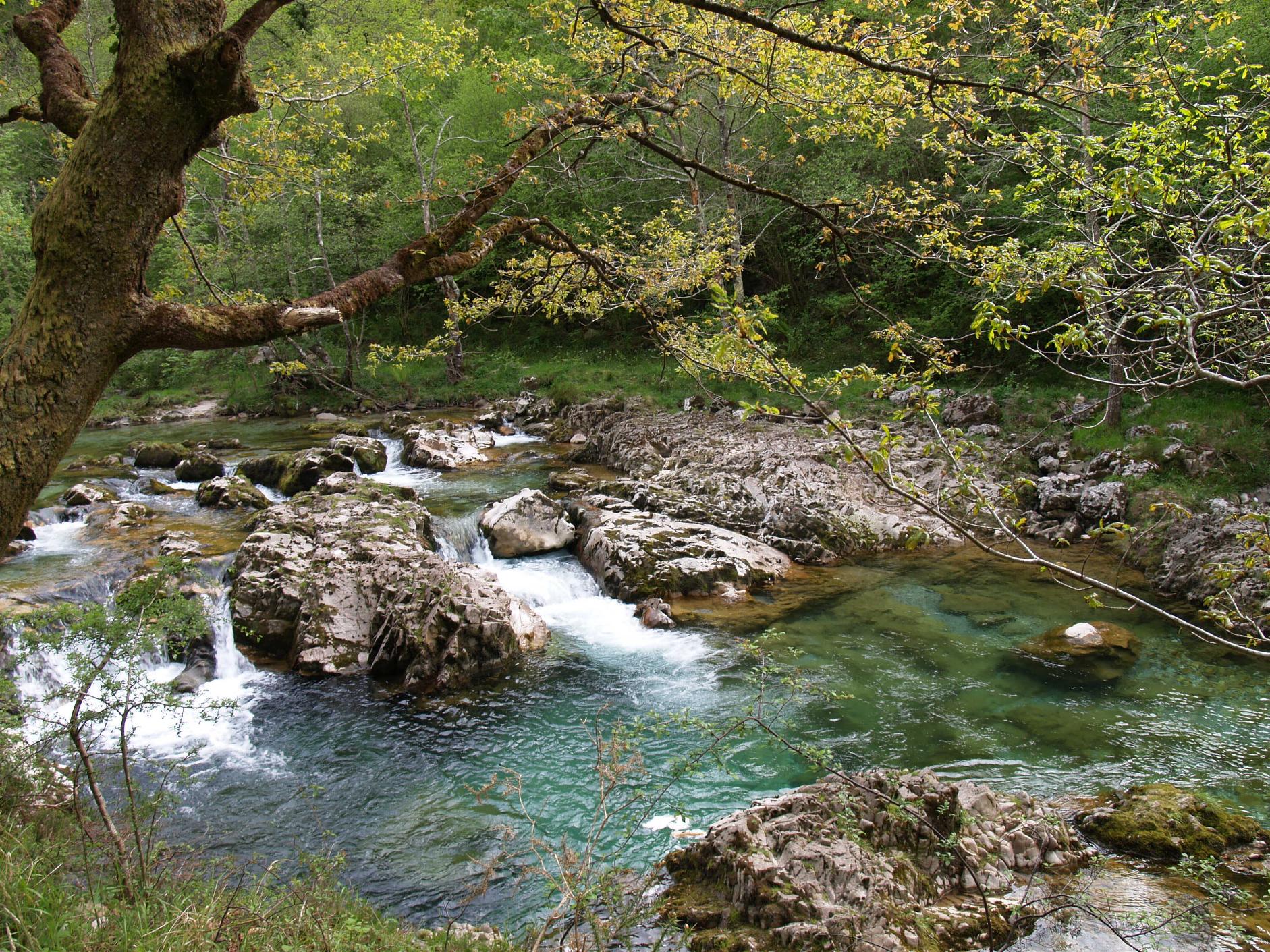 Estudios de inundabilidad de cauces y análisis de otros riesgos