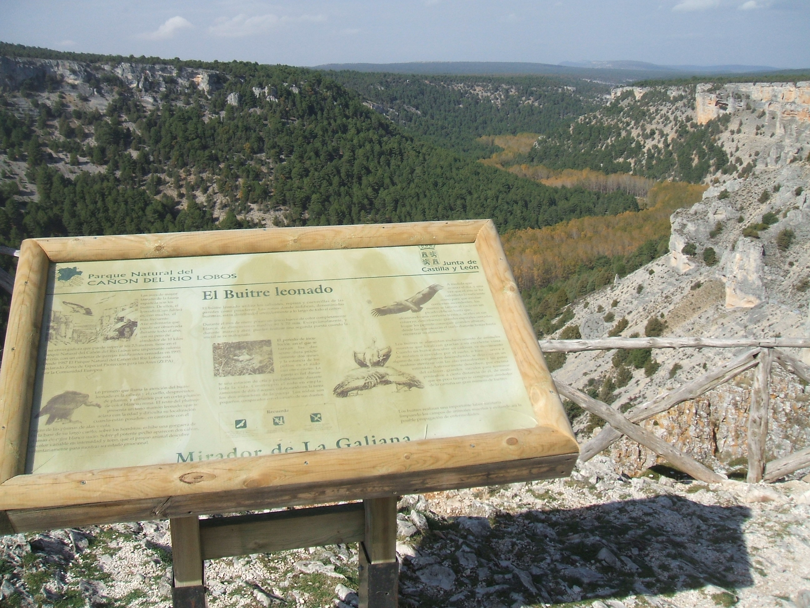 Estudios y planificación de espacios naturales en Castilla y León