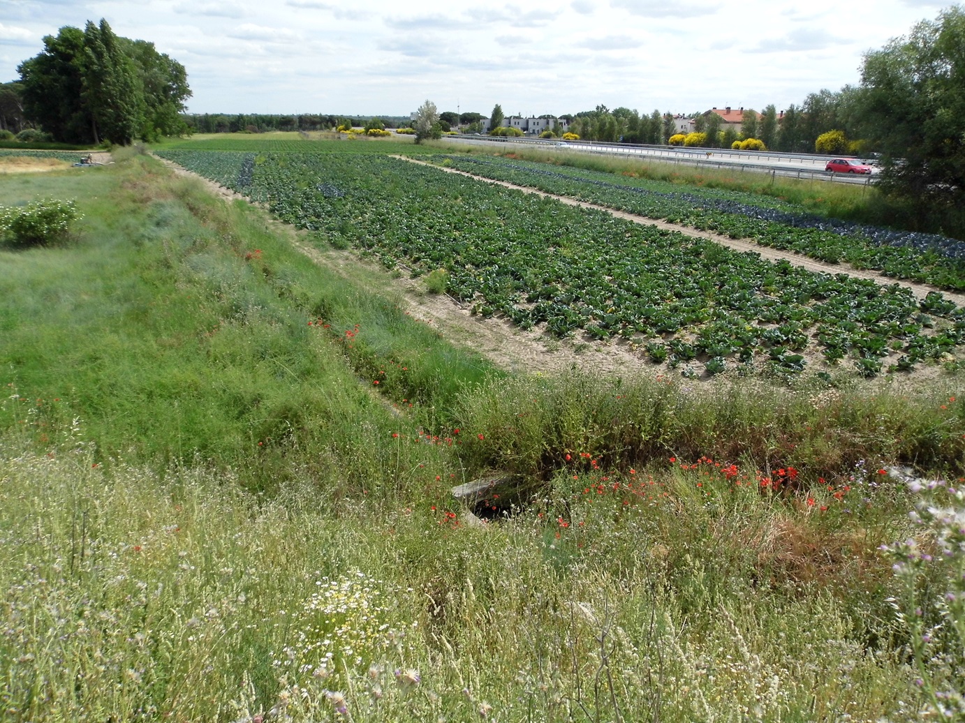 Evaluación ambiental del PGOU de Laguna de Duero (Valladolid)